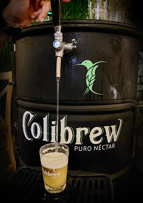 Chopp para casamento Colibrew